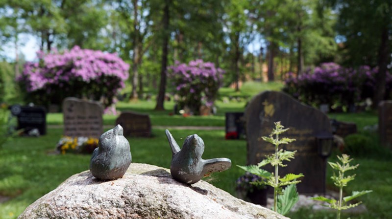 Illustrasjonsfoto av bronsefugl og blomst på toppen av gravstein